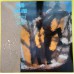 DAVID GARLAND Control Songs (Review Records – rere 95) Germany 1986 Test-Pressing LP